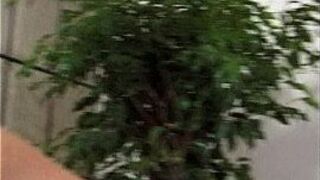 Metro - Lesbian Sex - scene 8 - extract 2 porn video